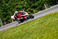 Brno;event-digital-images;motorbikes;no-limits;peter-wileman-photography;trackday;trackday-digital-images